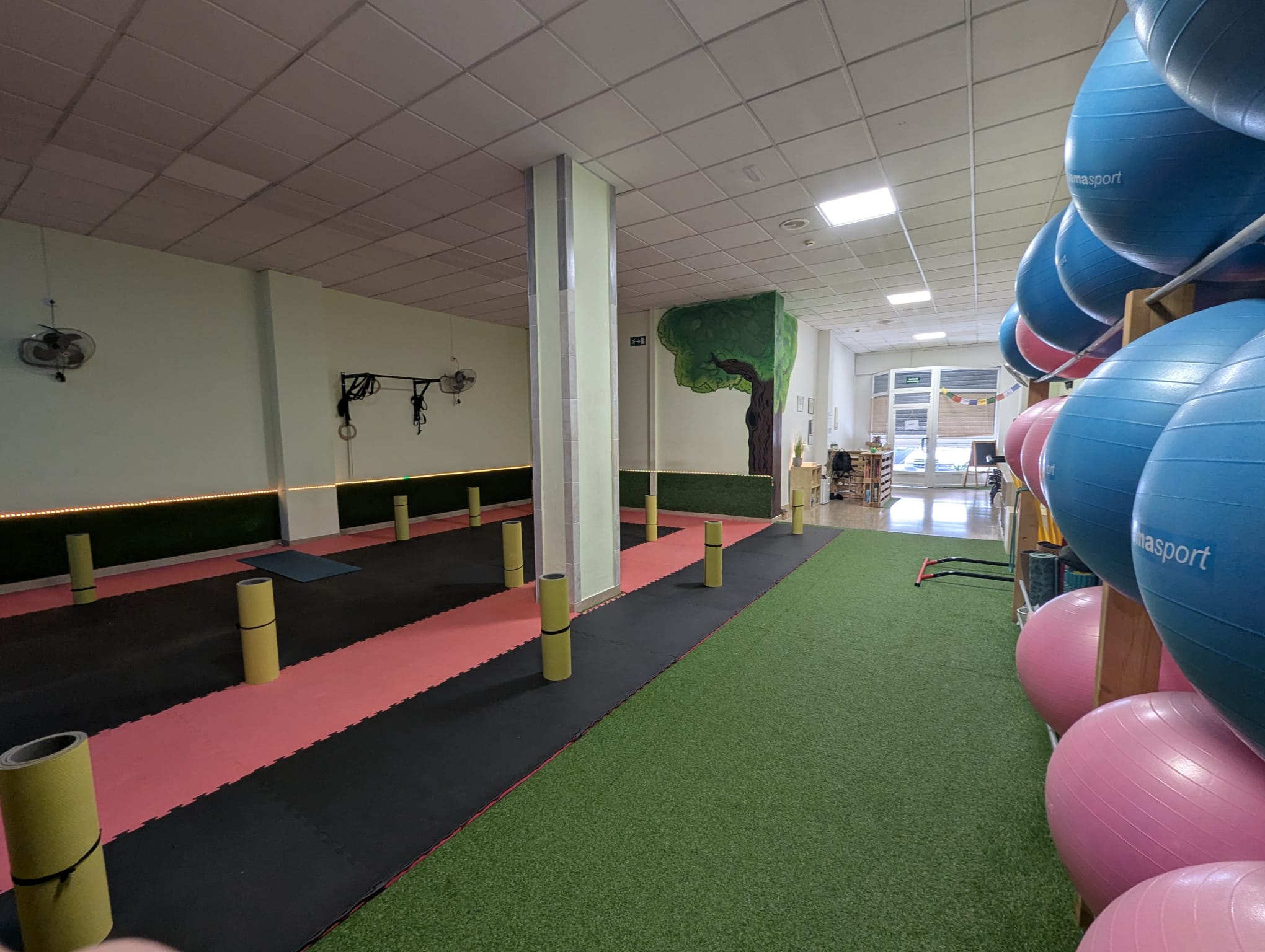 pilates elche (1) pilates elche