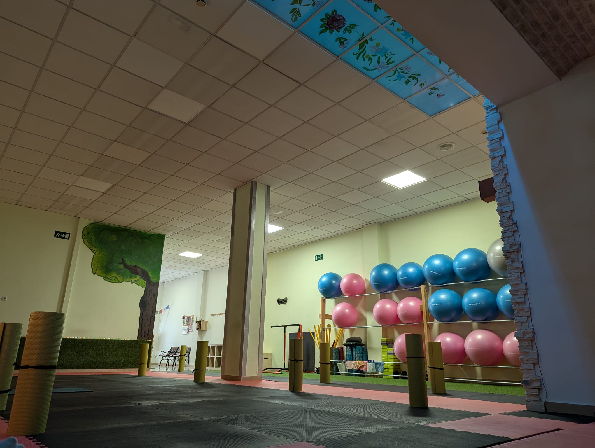 pilates elche (2) pilates elche