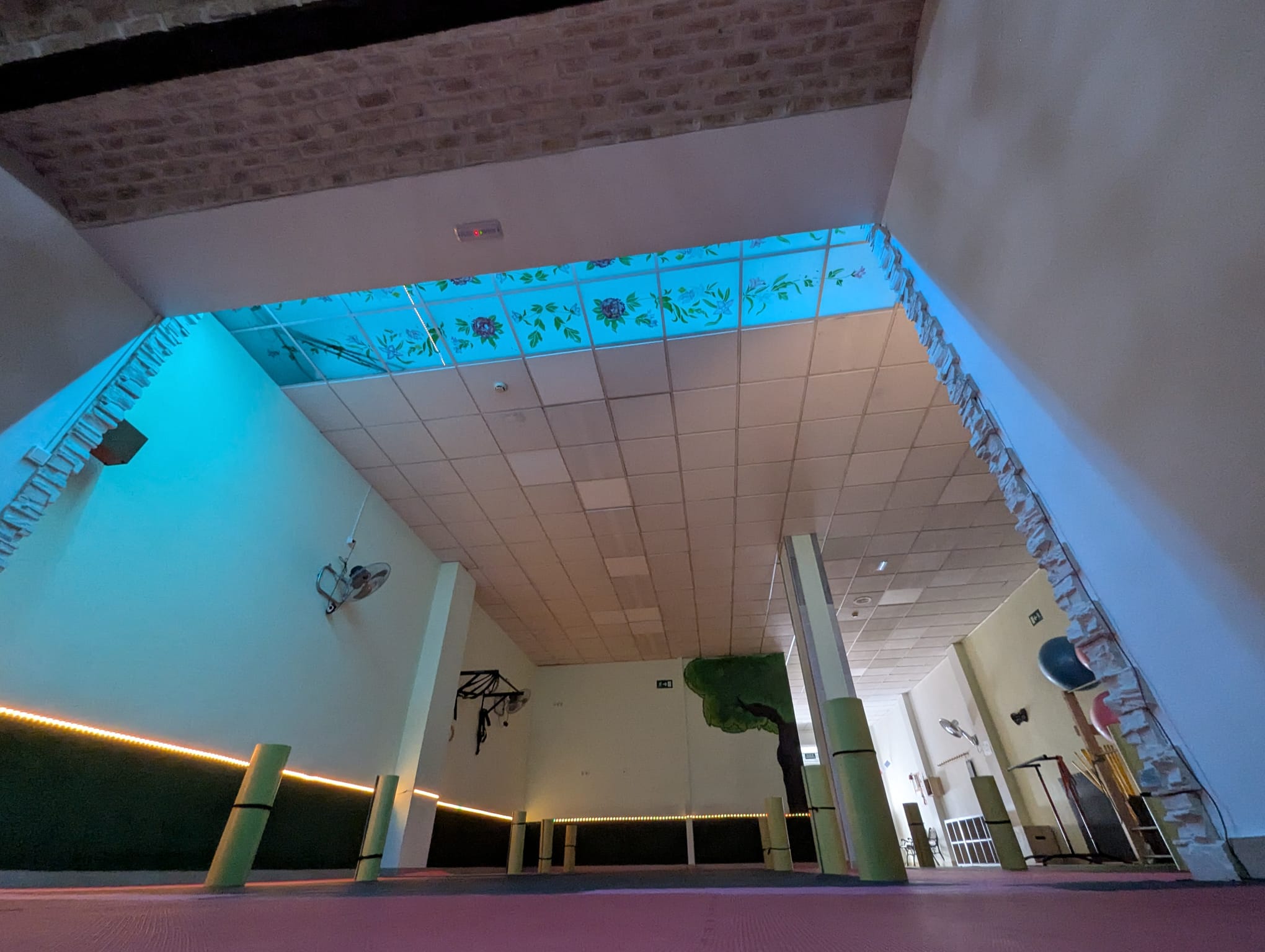 pilates elche (4) pilates elche