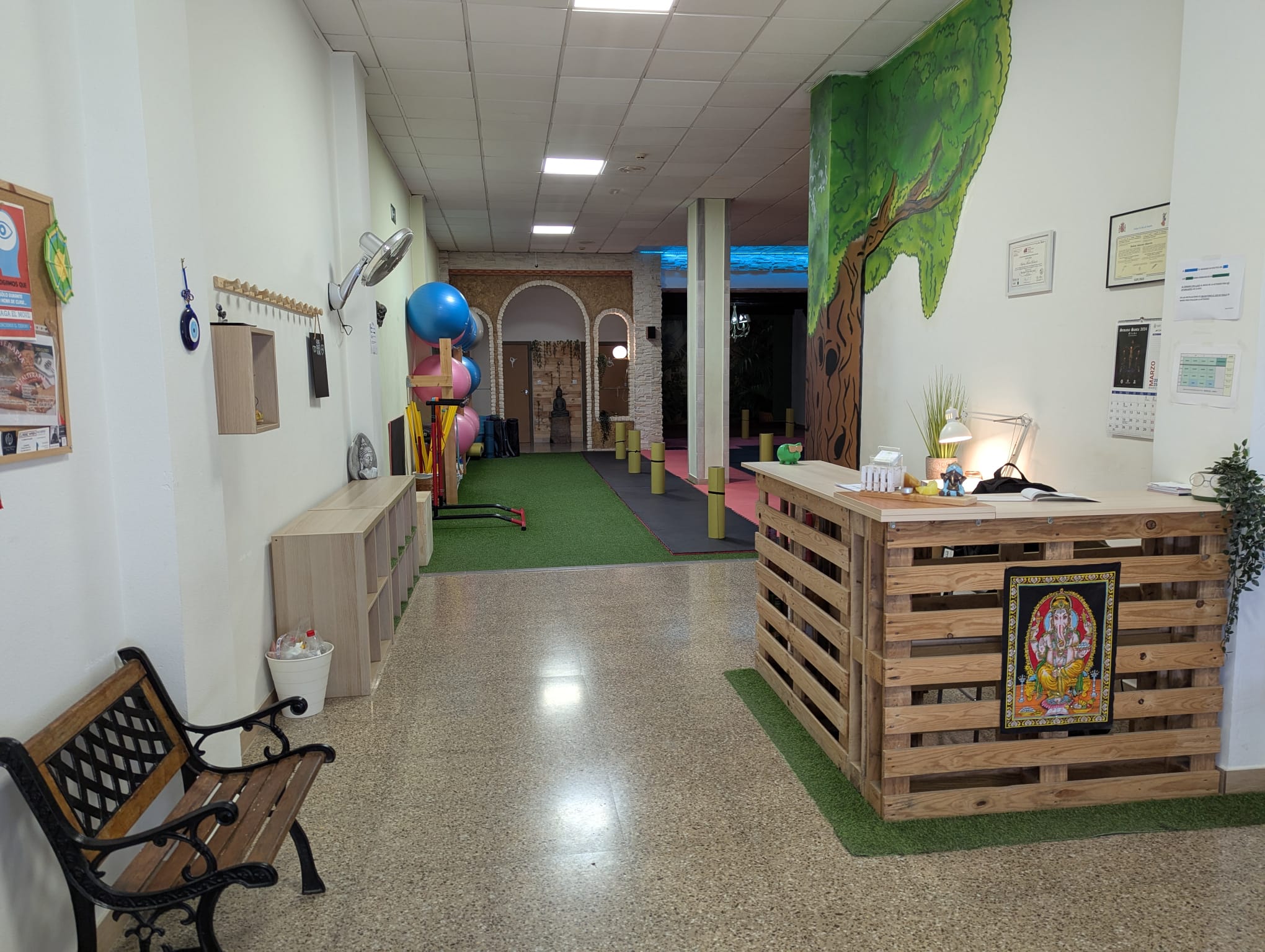 pilates elche (8) pilates elche